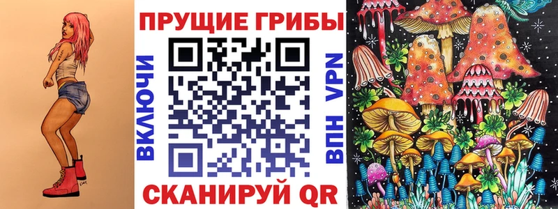Купить  Петропавловск-Камчатский  Псилоцибиновые грибы GOLDEN TEACHER 